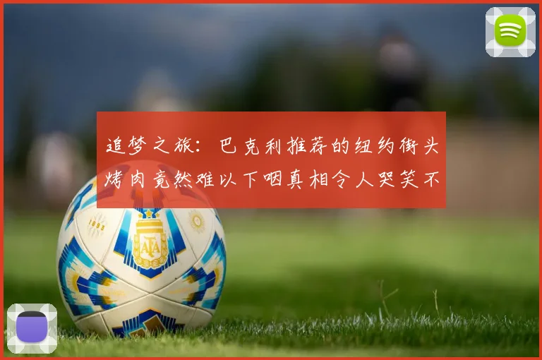 追梦之旅：巴克利推荐的纽约街头烤肉竟然难以下咽真相令人哭笑不得